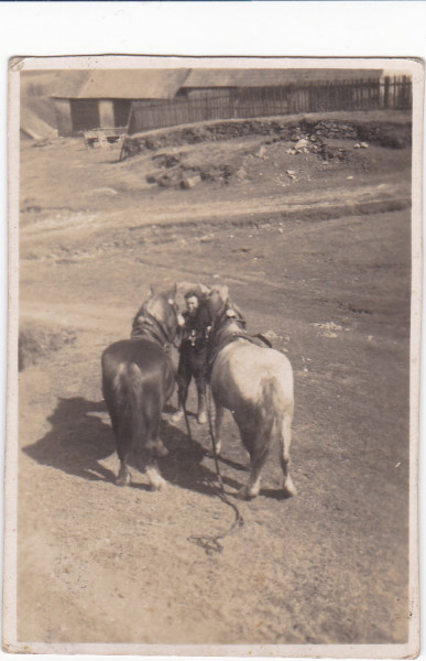 Na snímku zachycena Neubauerova stodola (po roce 1945 - Málkova). Snímek do roku 1945. Bohužel na snímku málo čitelný ,,kepl,,. Zařízení pro pákové mlátičky. Do keplu se zapřahali koně.