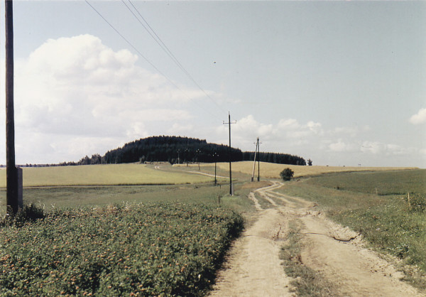 "Svinčák" nebo také "Prasečák". Snímek z let 1957-58. Na snímku zachycena původní nejrozsáhlejší část lesa. Původní cesta a družstevní lány.