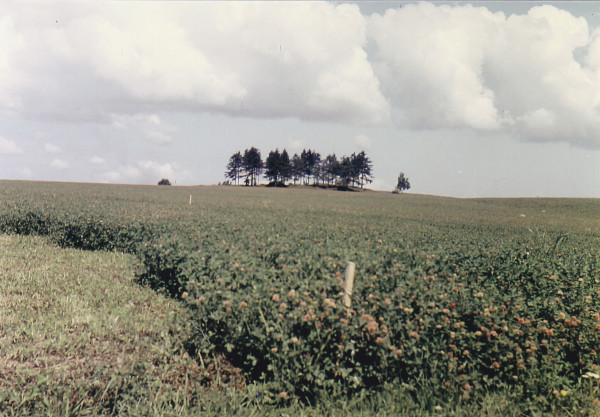 Tři smrče, rok 1957-58